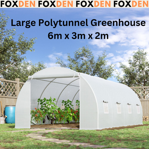 Large polytunnel greenhouse - polytunnel,