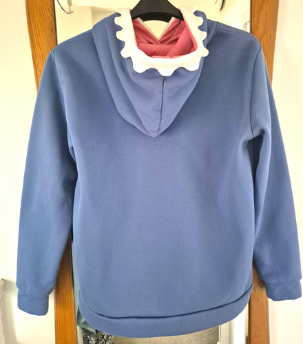 Unisex blue pullover hoodie - blue,