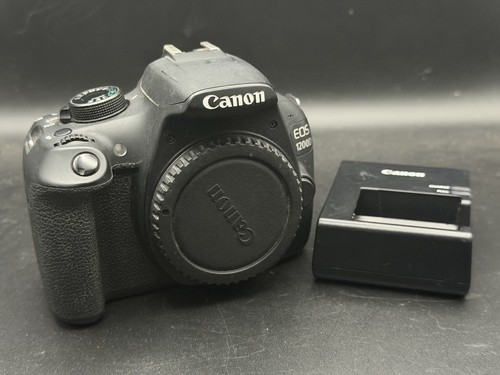 Canon eos rebel - canon, /