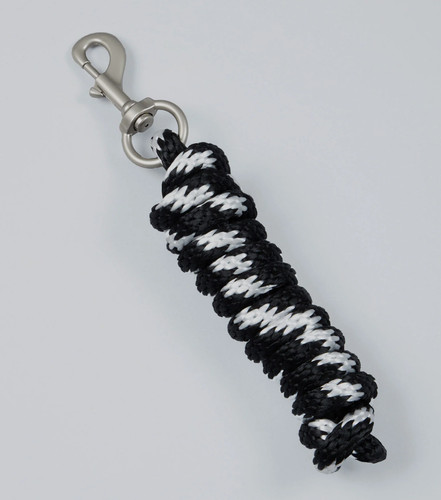Premier equine horse - horse, lead