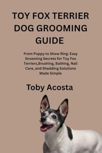 Toy fox terrier - fox, dog