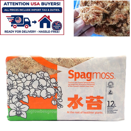 Spagmoss sphagnum moss plant - sphagnum,