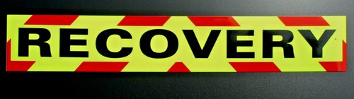 Recovery fluorescent magnetic - recovery,