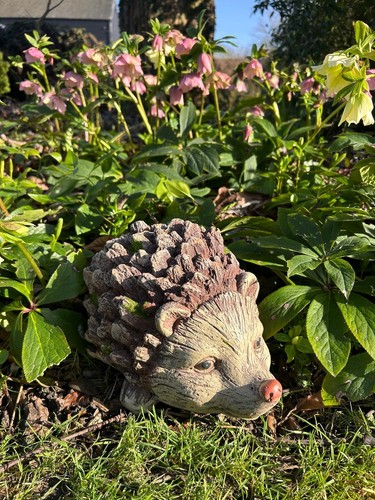 Hedgehog garden ornament - garden, resin