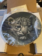 Princeton Gallery Cubs - Big