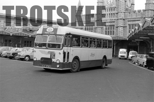 35mm negative bristol - negative,