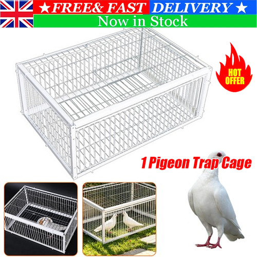 Portable pigeon trap cage - trap,