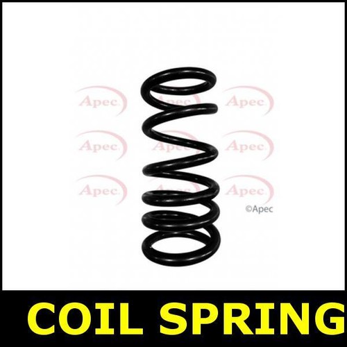 Coil spring rear - spring, for