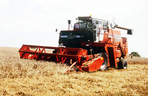 Vintage massey ferguson - vintage,