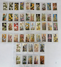 W.D. & H.O. WILLS Cigarette