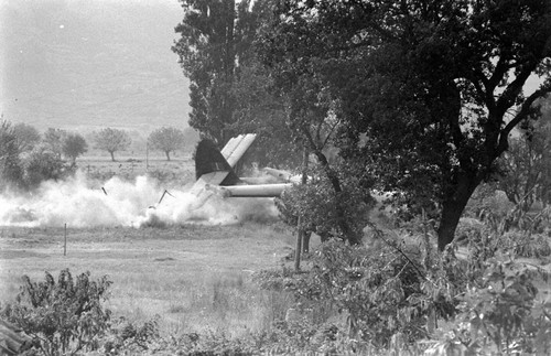 World war two wwii photo - war,