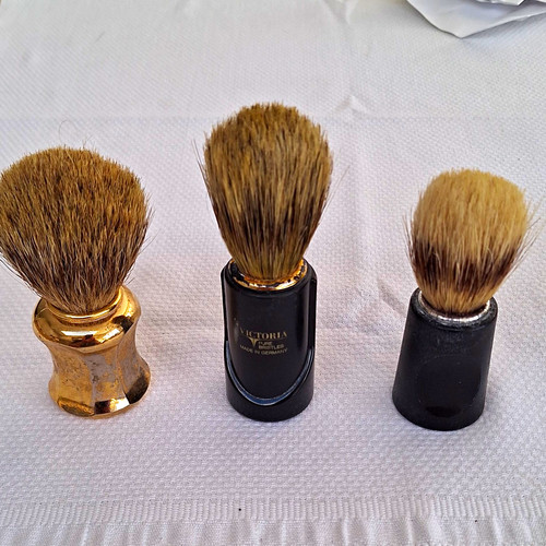 Victoria pure bristles - bristles, shaving