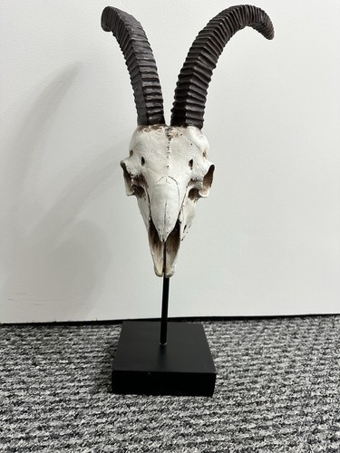 Fake goat head stand - head, on