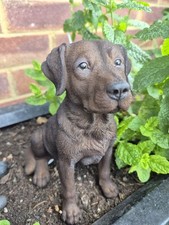 Chocolate labrador ornament - chocolate,
