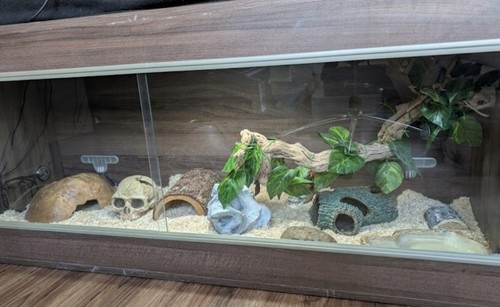 Custom reptile vivarium - custom,