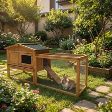 Rabbit Hutch Indoor and