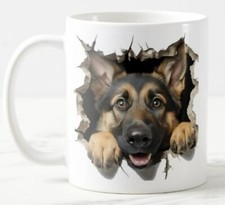 German Shepherd Breakthrough