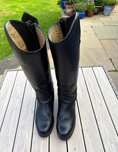 Mountain horse sportive black - horse,