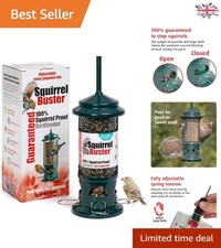 Lifetime Support Squirrel