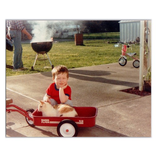 Vintage photo cat riding - vintage,