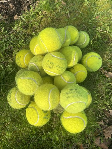 Used tennis balls for dogs - used,