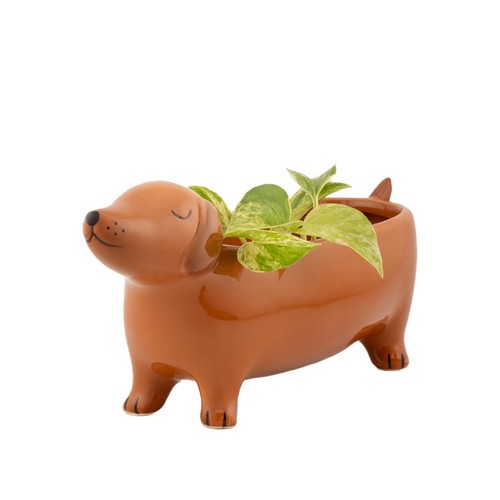 Sausage dog planter dolomite - |,