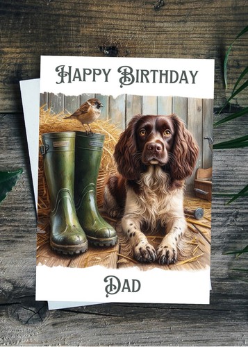 Springer spaniel birthday card - birthday,