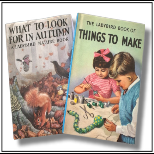 Ladybird book what to look - ladybird,