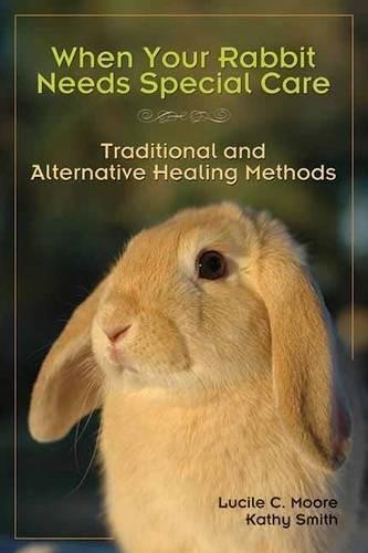 When your rabbit needs special - rabbit,