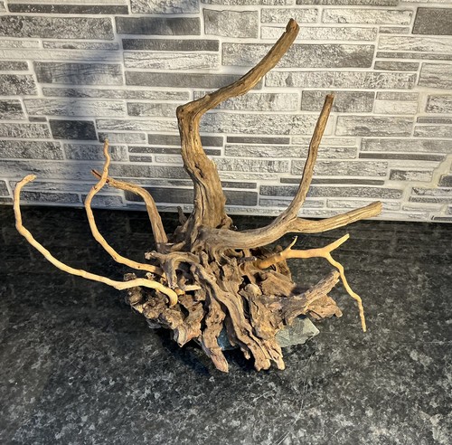 Aquarium driftwood handcrafted - aquarium,