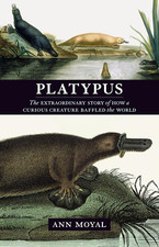 Platypus Platypus