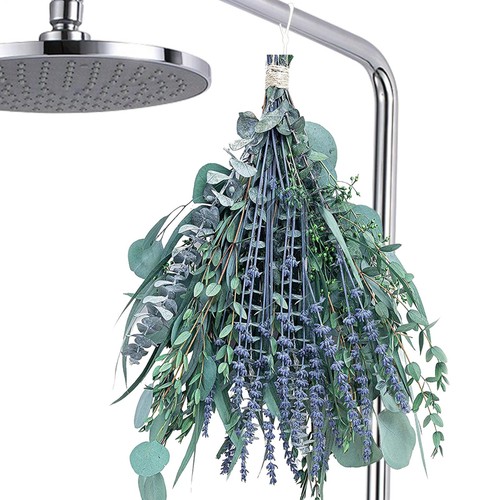 Dried eucalyptus - dried,