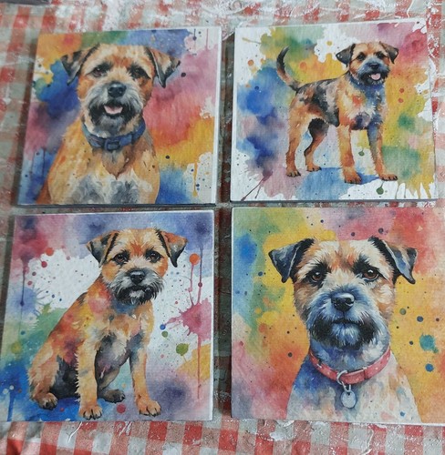 Border terrier coasters - border,