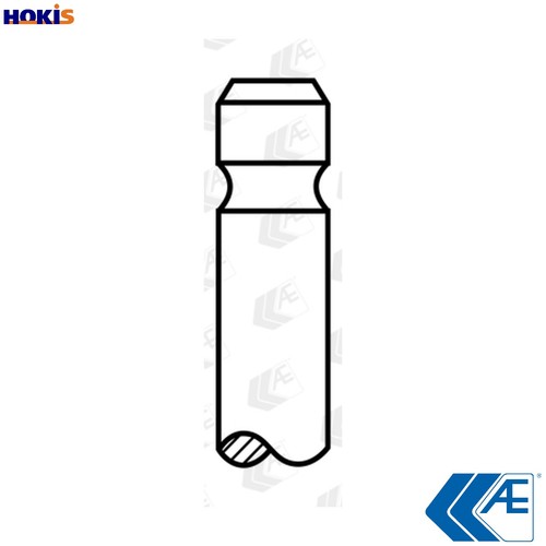 Intake valve v95198 - 4x,