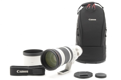 Canon 100 300mm 8 l - 100-300mm, is