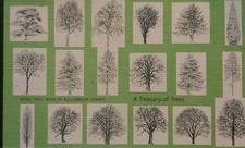Treasury trees royal - a,