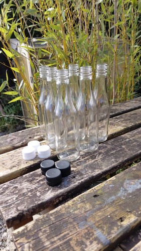 250ml glass bottles - 6, ,
