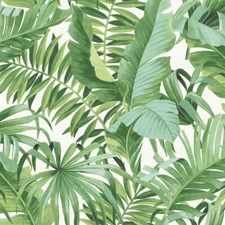 Tropical Jungle Wallpaper Leaf