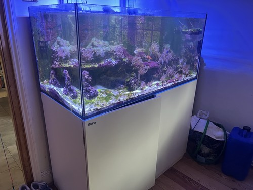 Red sea reefer - red, 425xl
