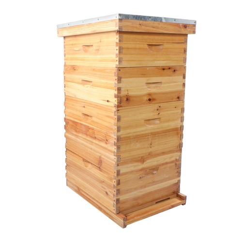Layer bee hive beeswax - layer,
