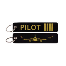 Pilot airline aviation - pilot,