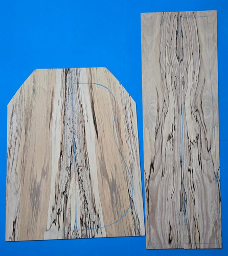 Spalted birch guitar - spalted,