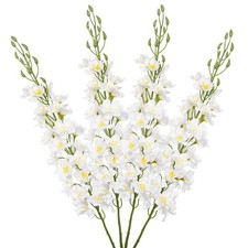 DILATATA 37'' White Delphinium