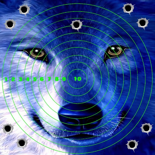 Blue wolf adhesive targets - 6,