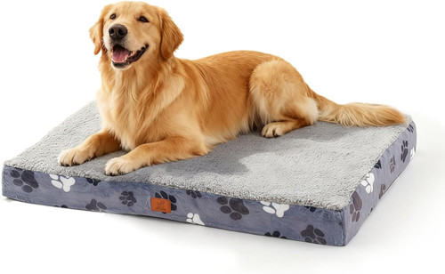 Orthopedic x22 dog bed - orthopedic,
