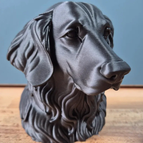 Flat coated retriever - flat-coated,