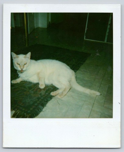80s vintage polaroid - vintage,