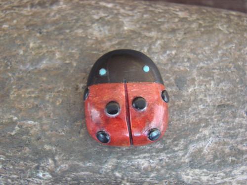 Native american zuni hand - native,