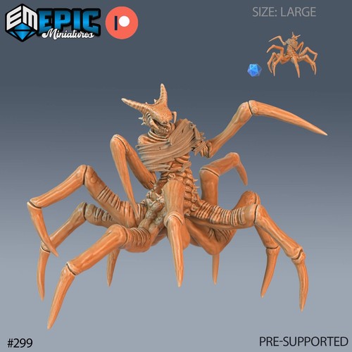Spider leng monster - spider,