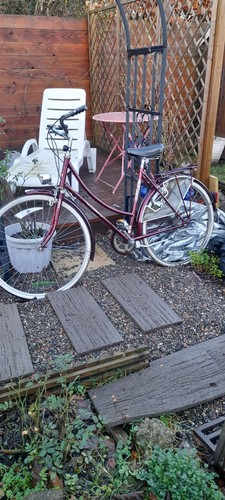 Ladies raleigh bike - ladies,